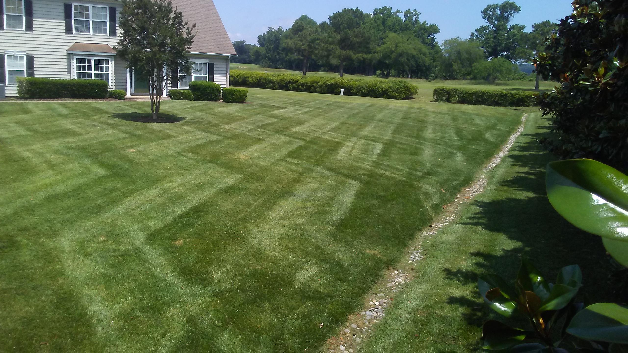 Botanical Landscape Management Photo