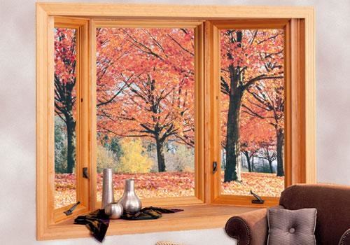 Bay & Bow Windows