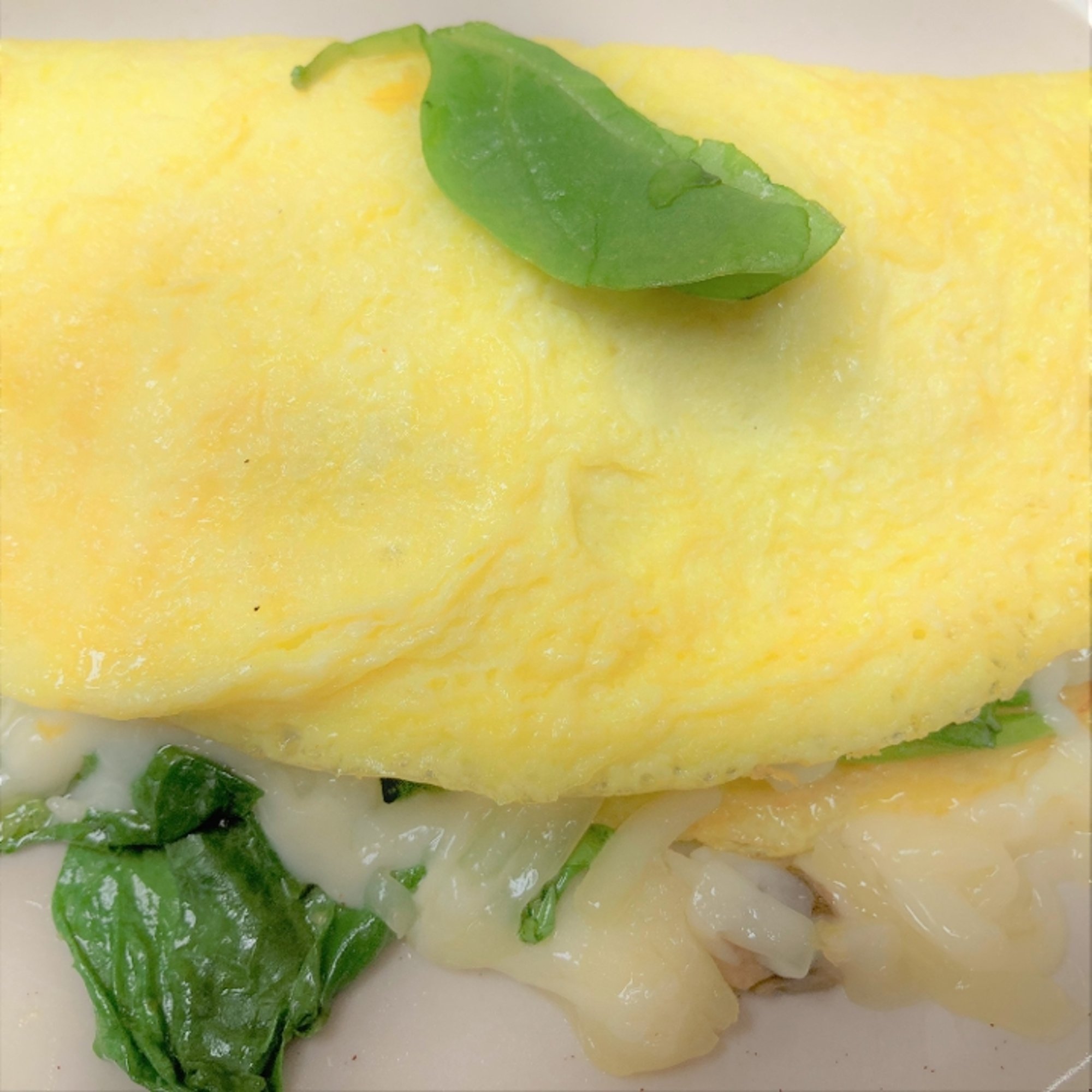 Florentine Omelet