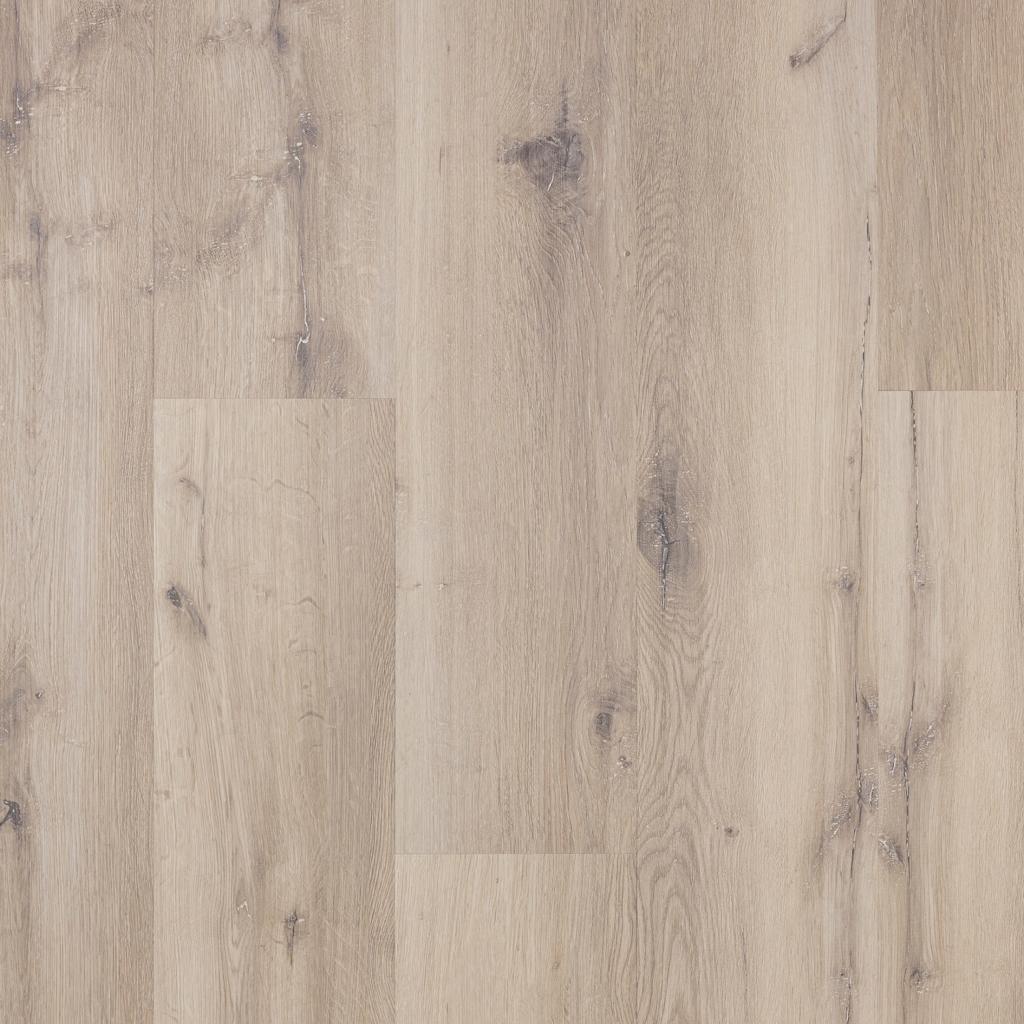 The European Company Image