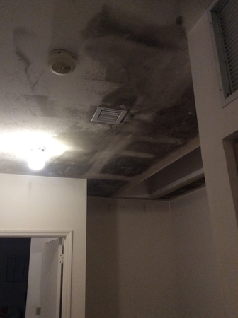 Images SERVPRO of Miami Beach