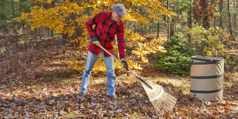 Dos & Don'ts of Fall Landscaping