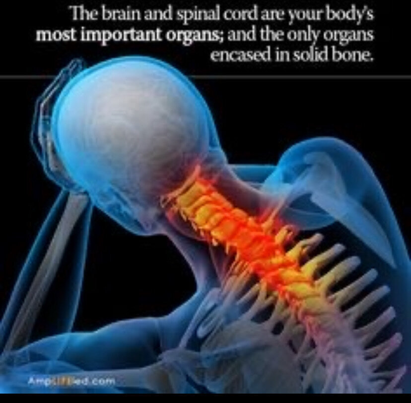 First Alternative Chiropractic Image