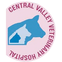 Central Valley Veterinary Hospital Photo