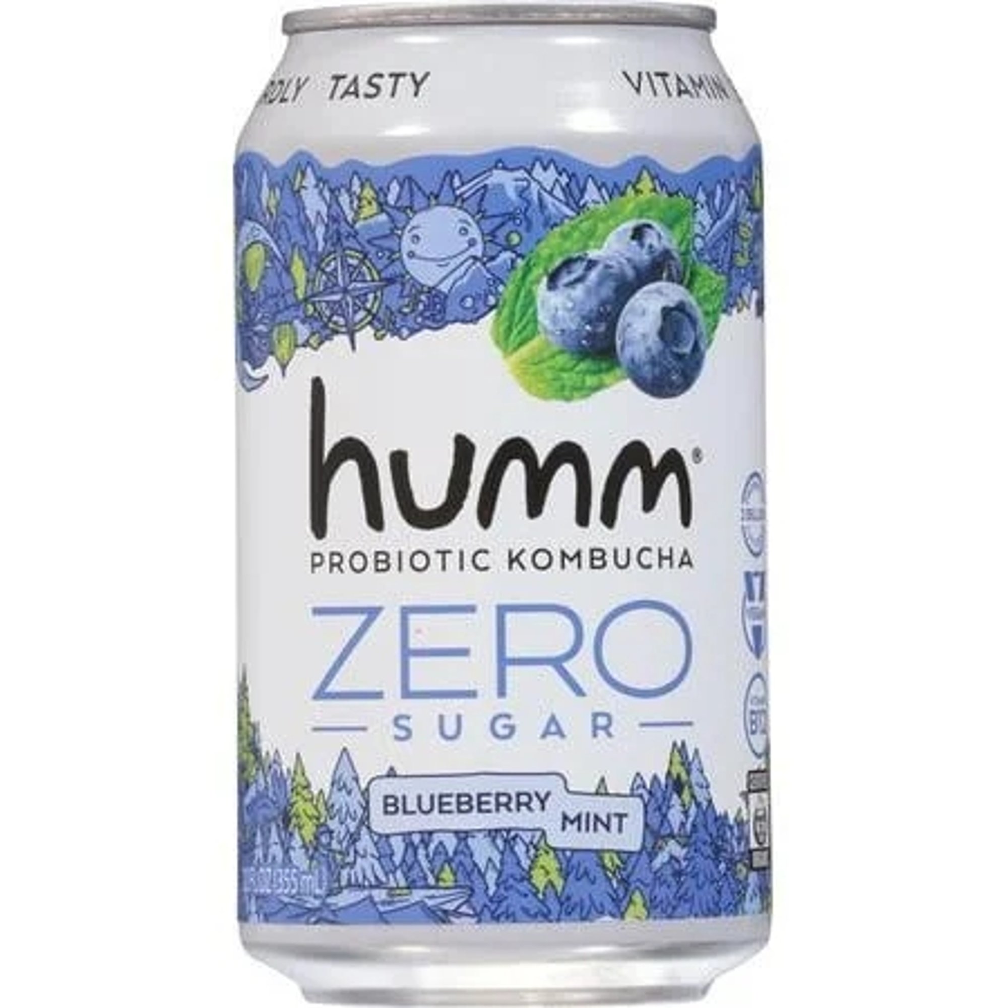 Humm Kombucha Açaí Blueberry