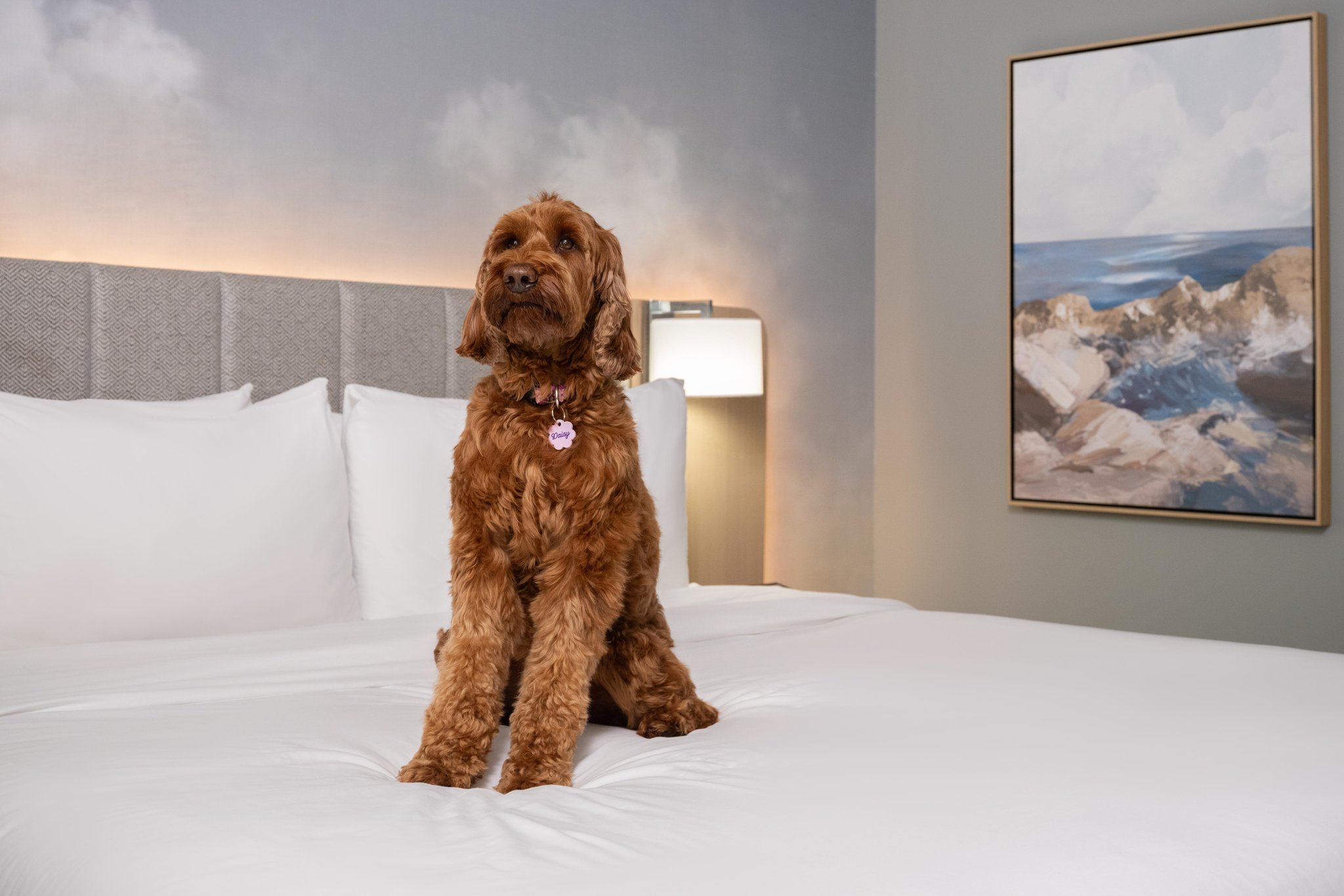 Hotel Indigo Long Island - East End by IHG Image