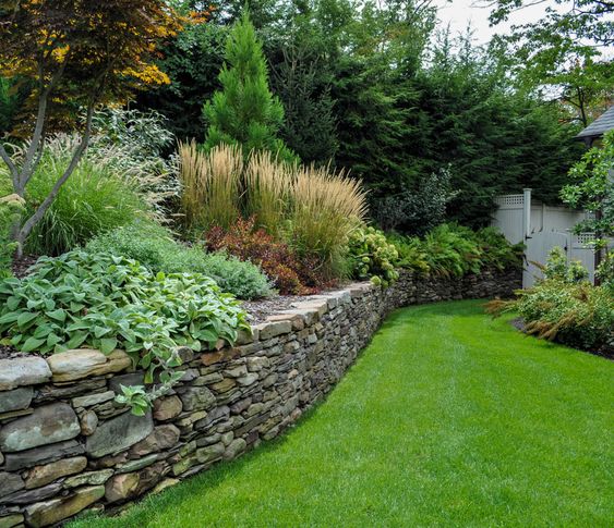 Noah's Earth LLC Image