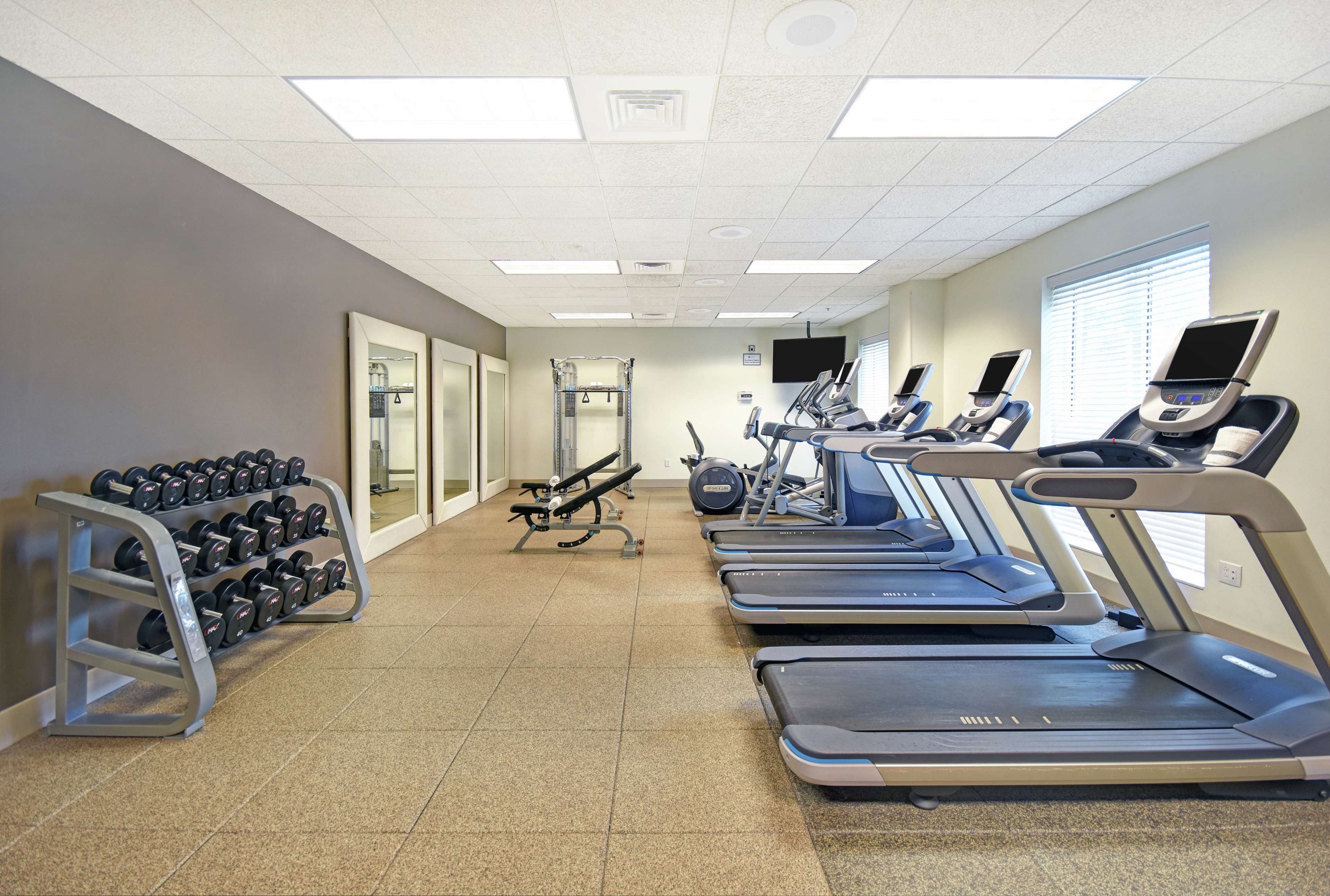 Health club  fitness center  gym