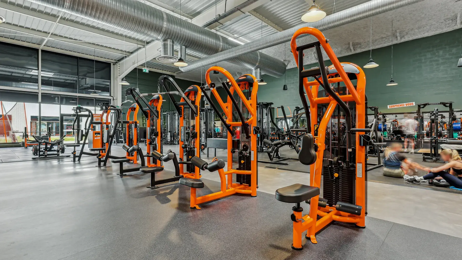 Miniature de la galerie