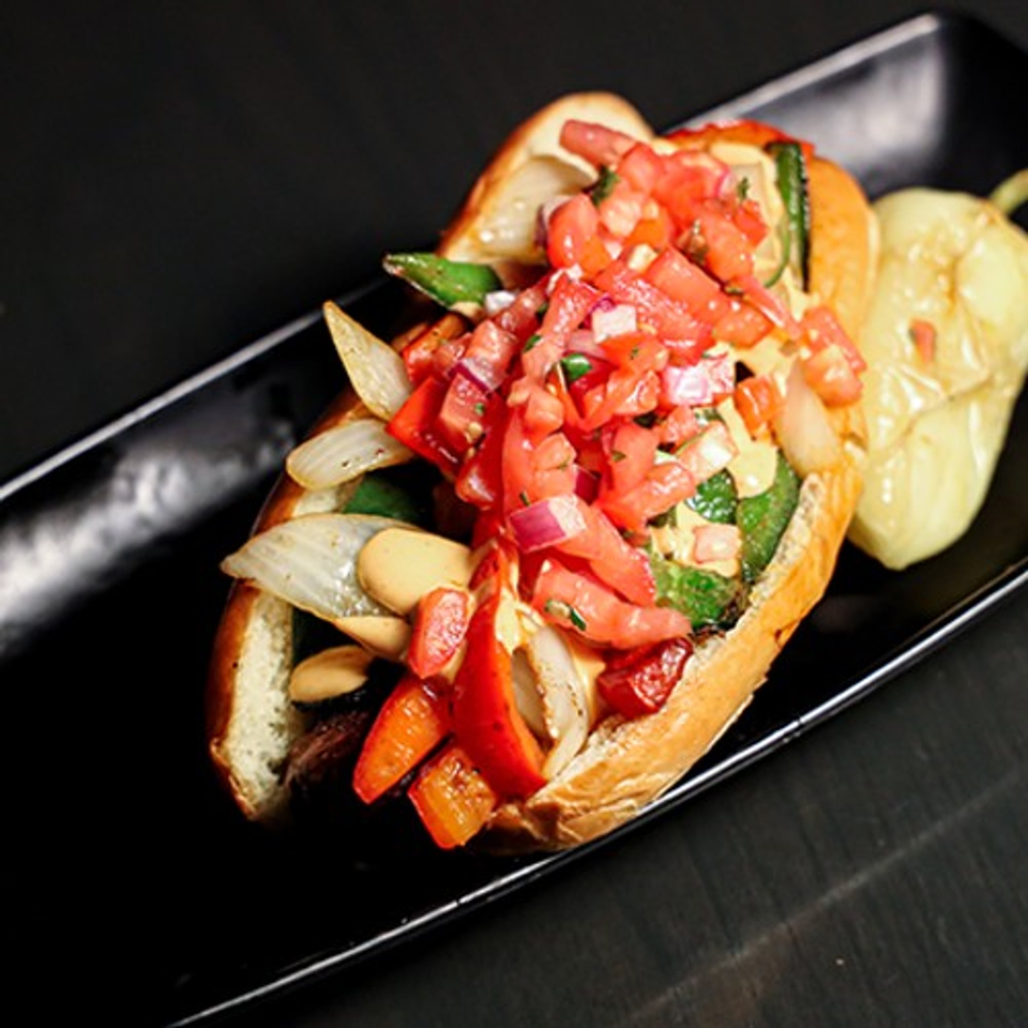 Sonora Street Dog