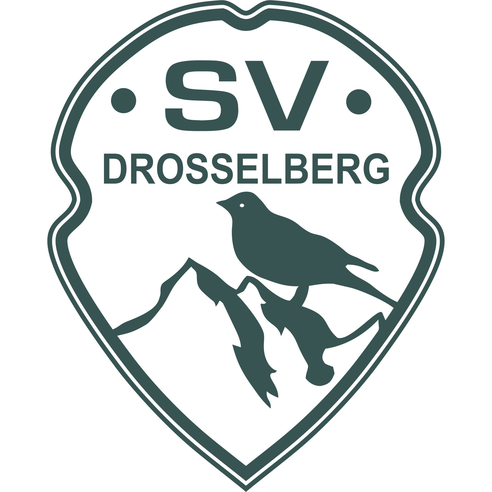 Logo von SV Drosselberg 91