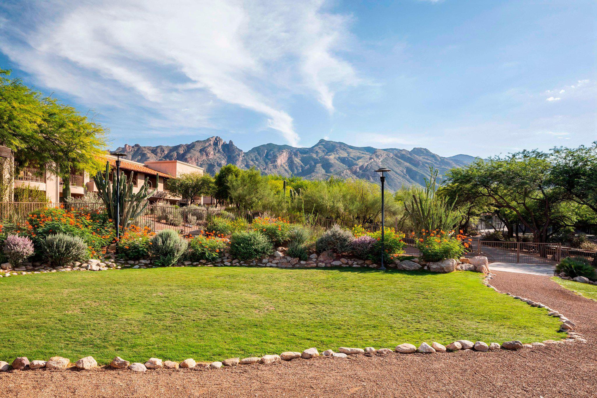 The Westin La Paloma Resort & Spa Photo