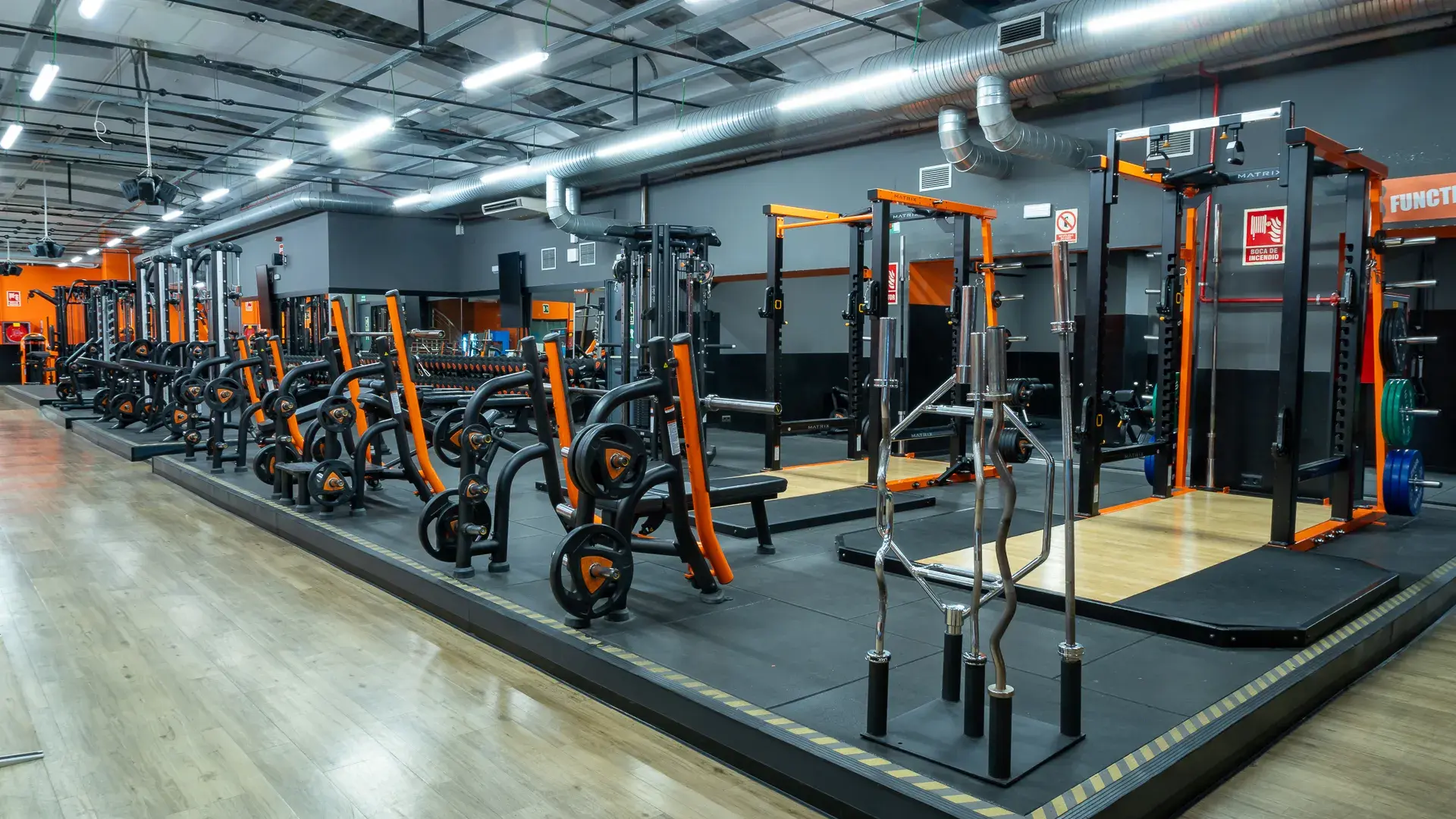 Galería de imágenes