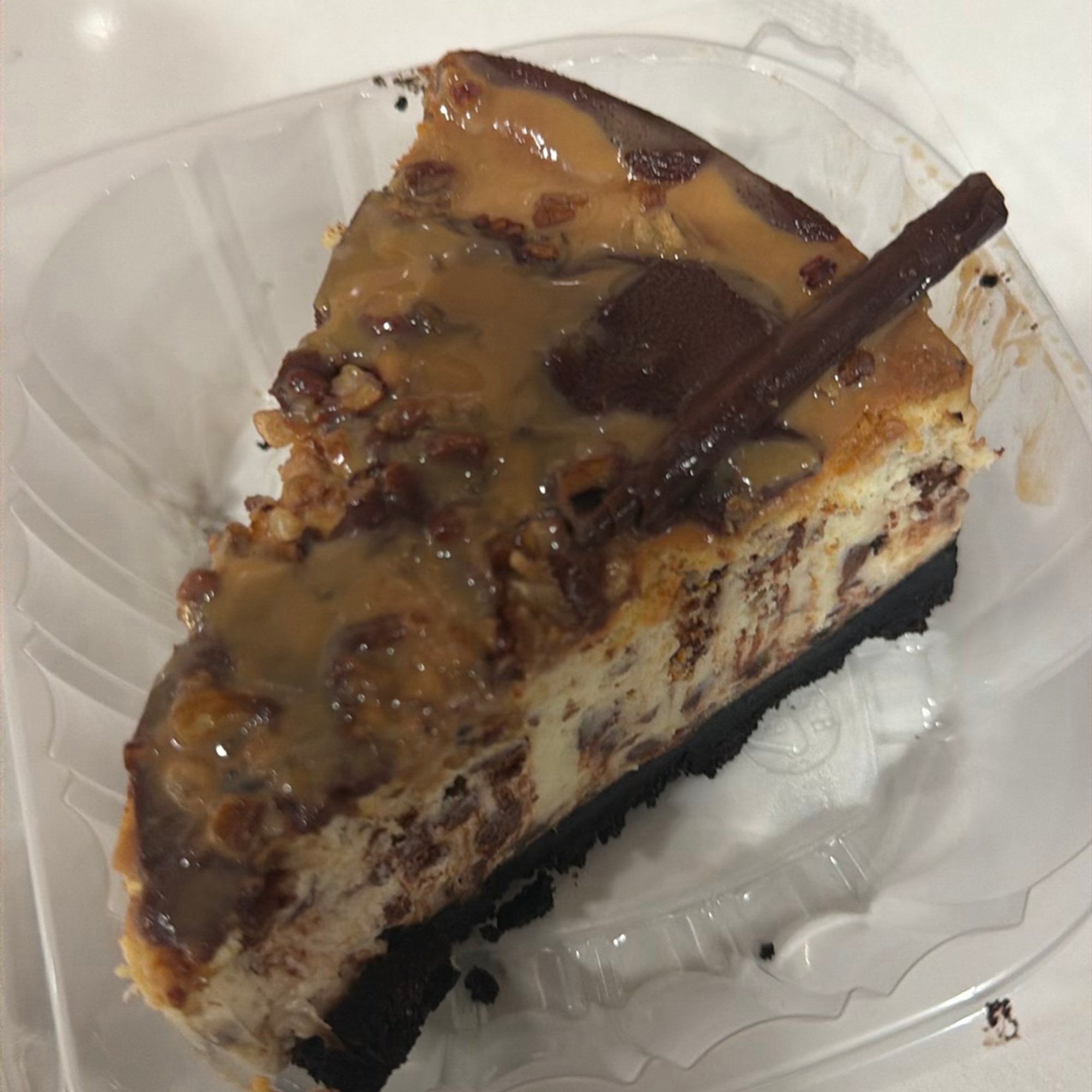 Turtle Cheese Cake