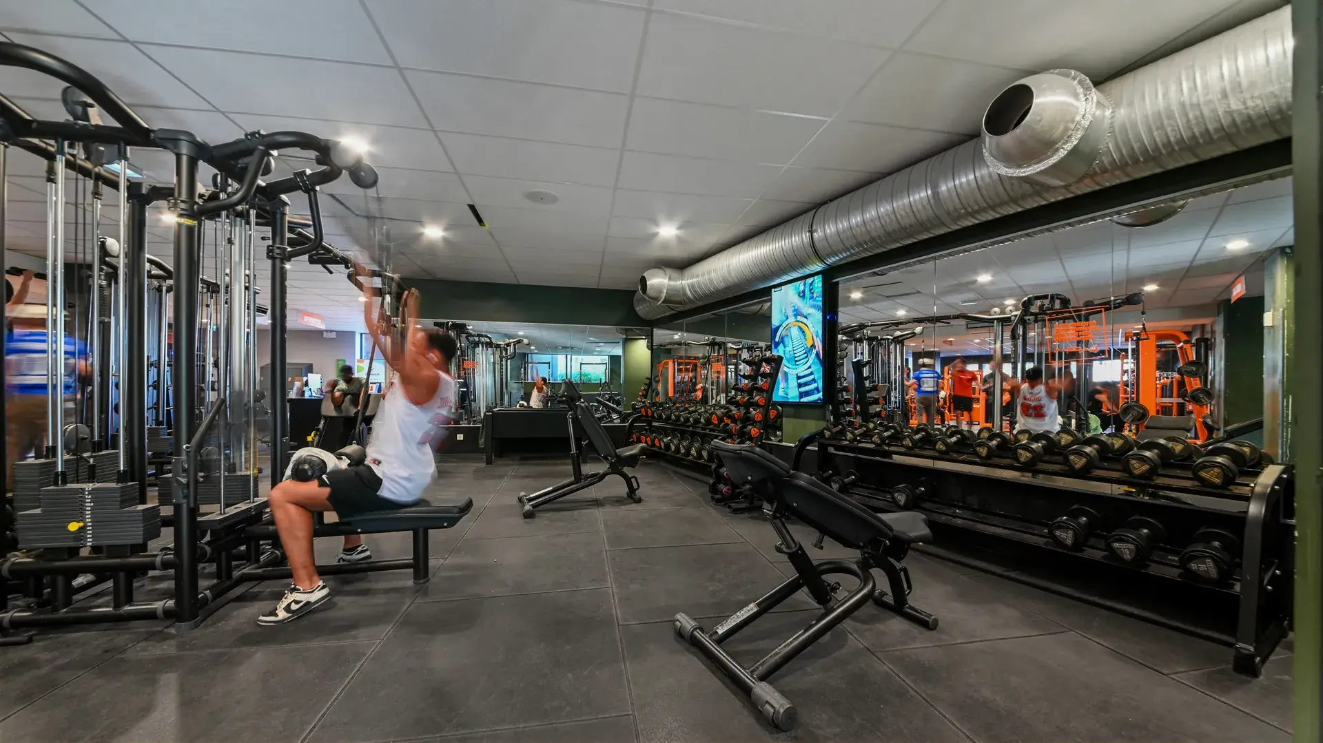 Miniature de la galerie