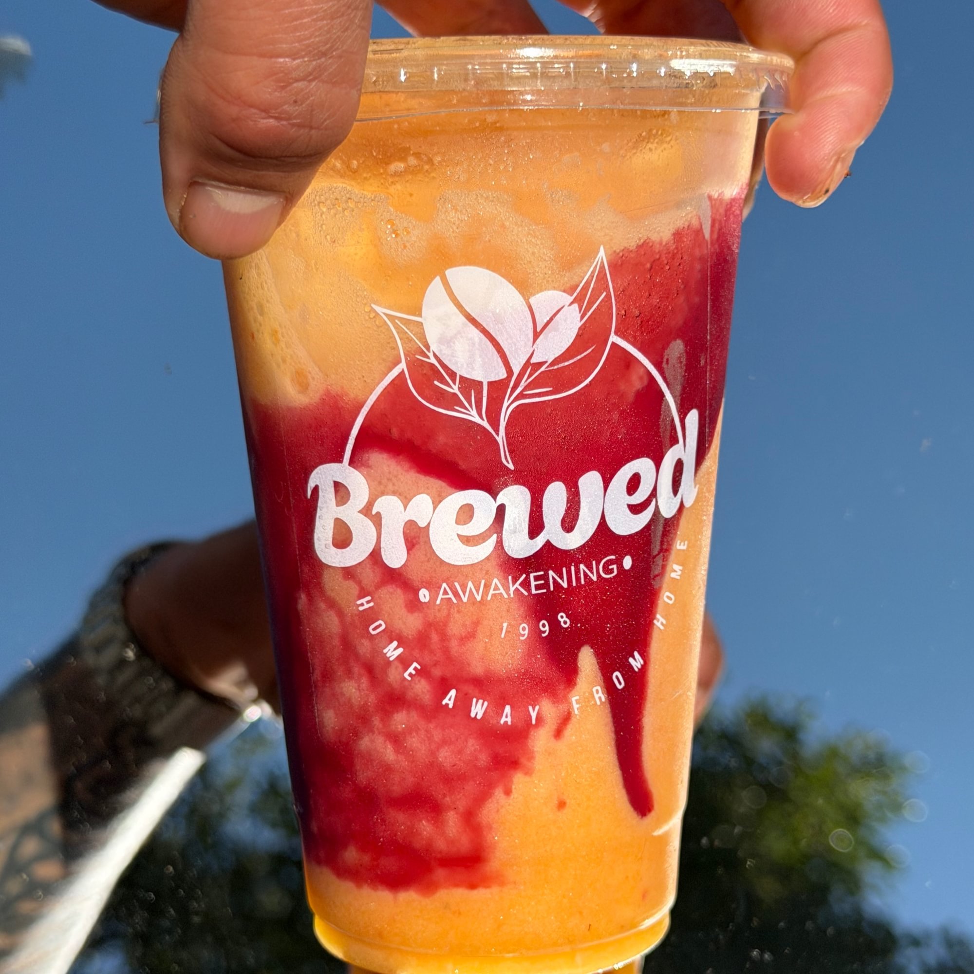 Mango Fusion