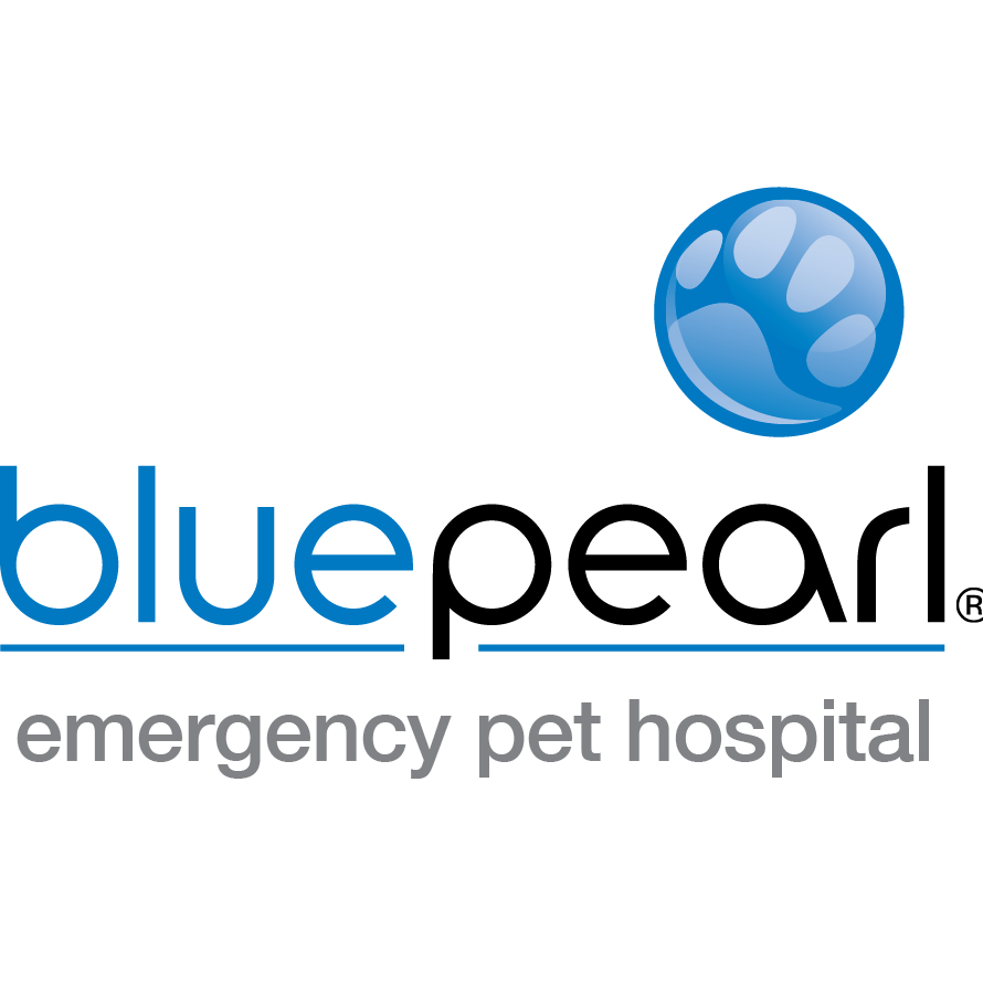 blue pearl emergency animal hospital
