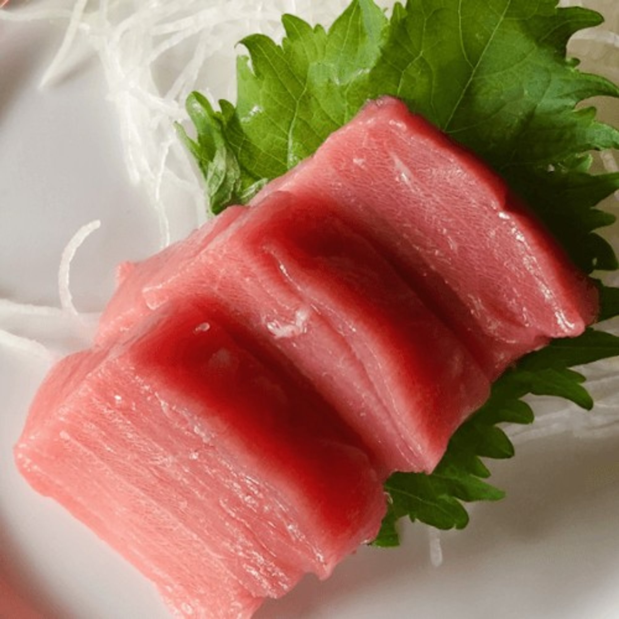 Toro Sashimi