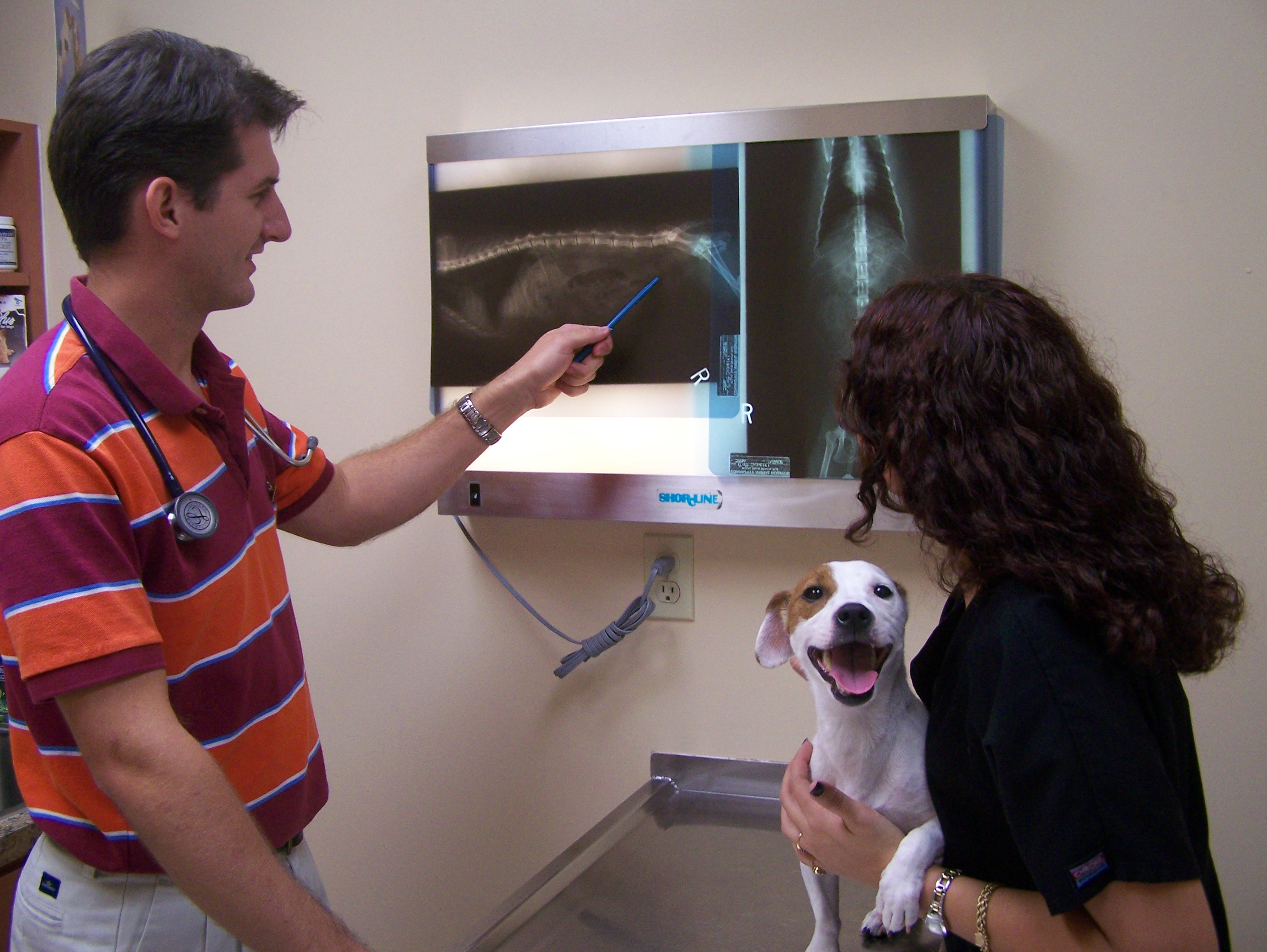 Community Animal Hospital of Royal Palm Beach Photo