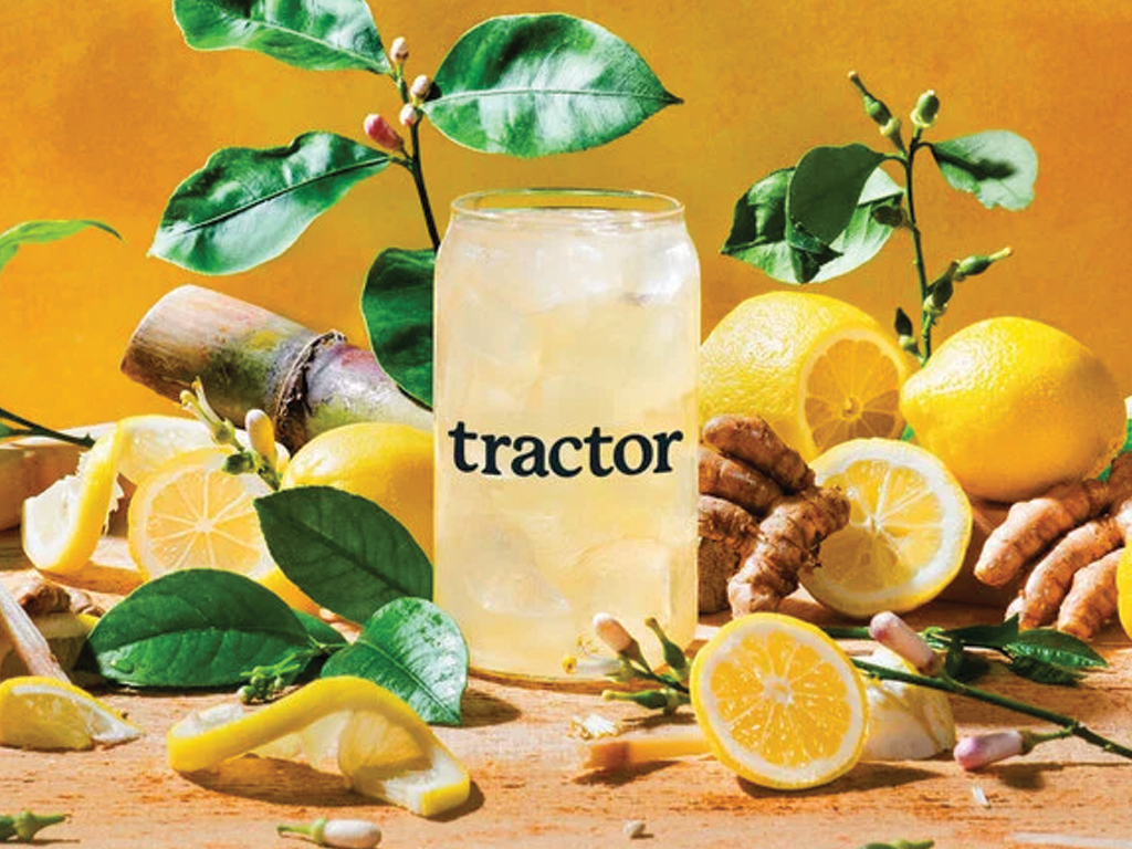 Lemonade Crafted Drink- 16oz Regular