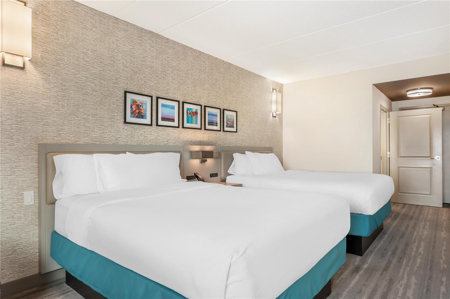 Hilton Garden Inn Wisconsin Dells Image