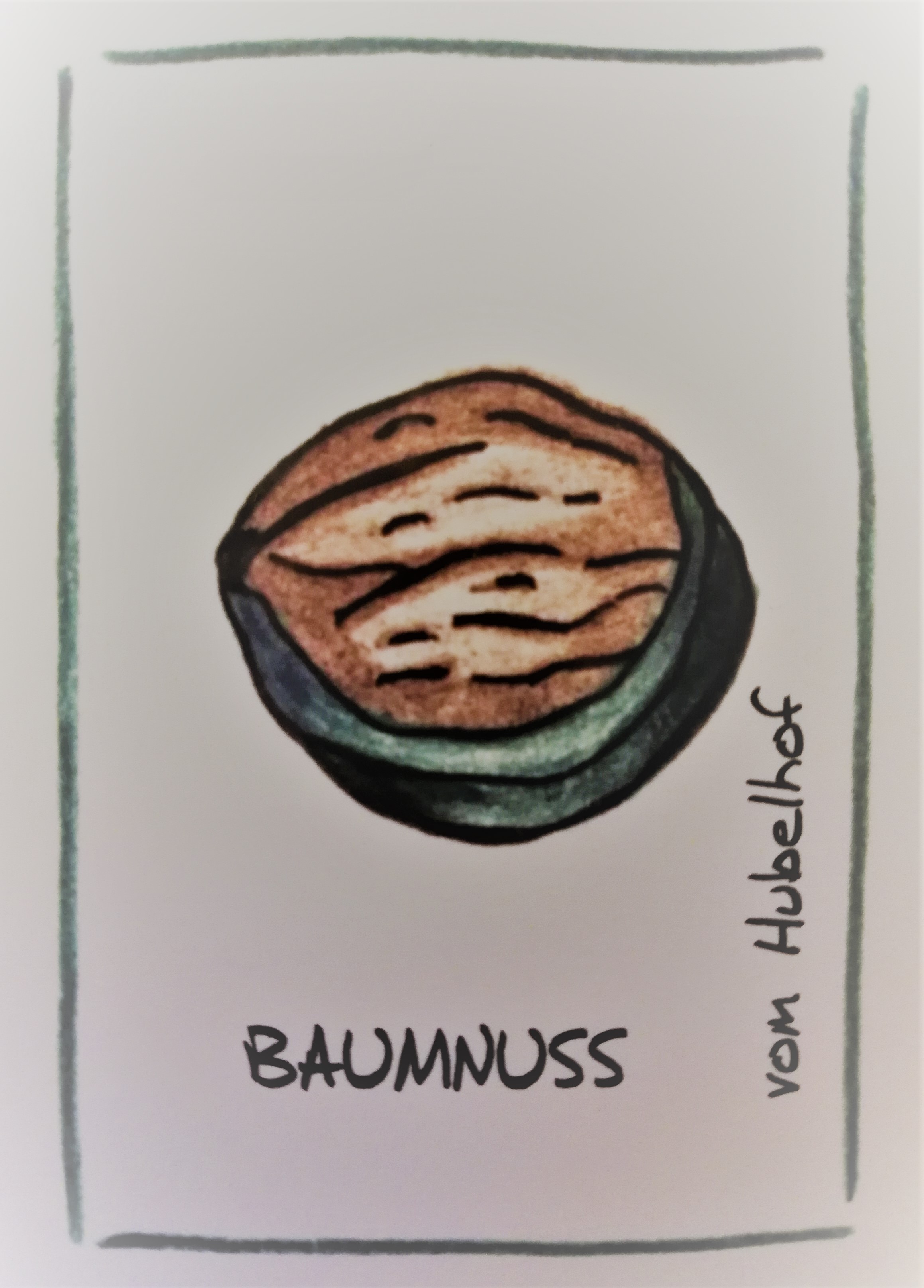Veredelter Baumnuss Schnaps
