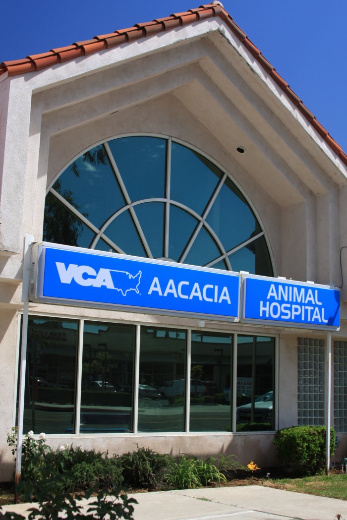 VCA Aacacia Animal Hospital Photo