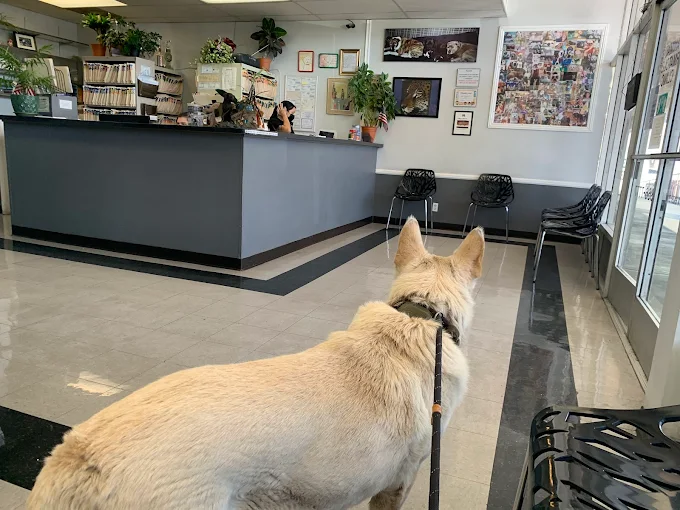 North Valley Veterinary Clinic