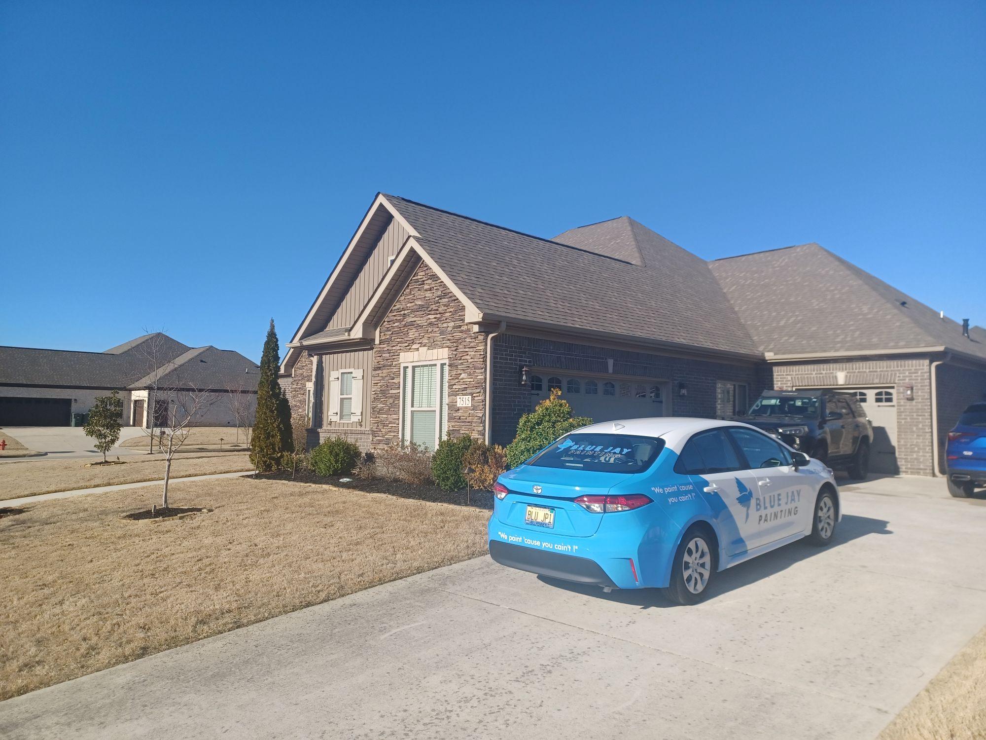 Blue Jay Painting Image