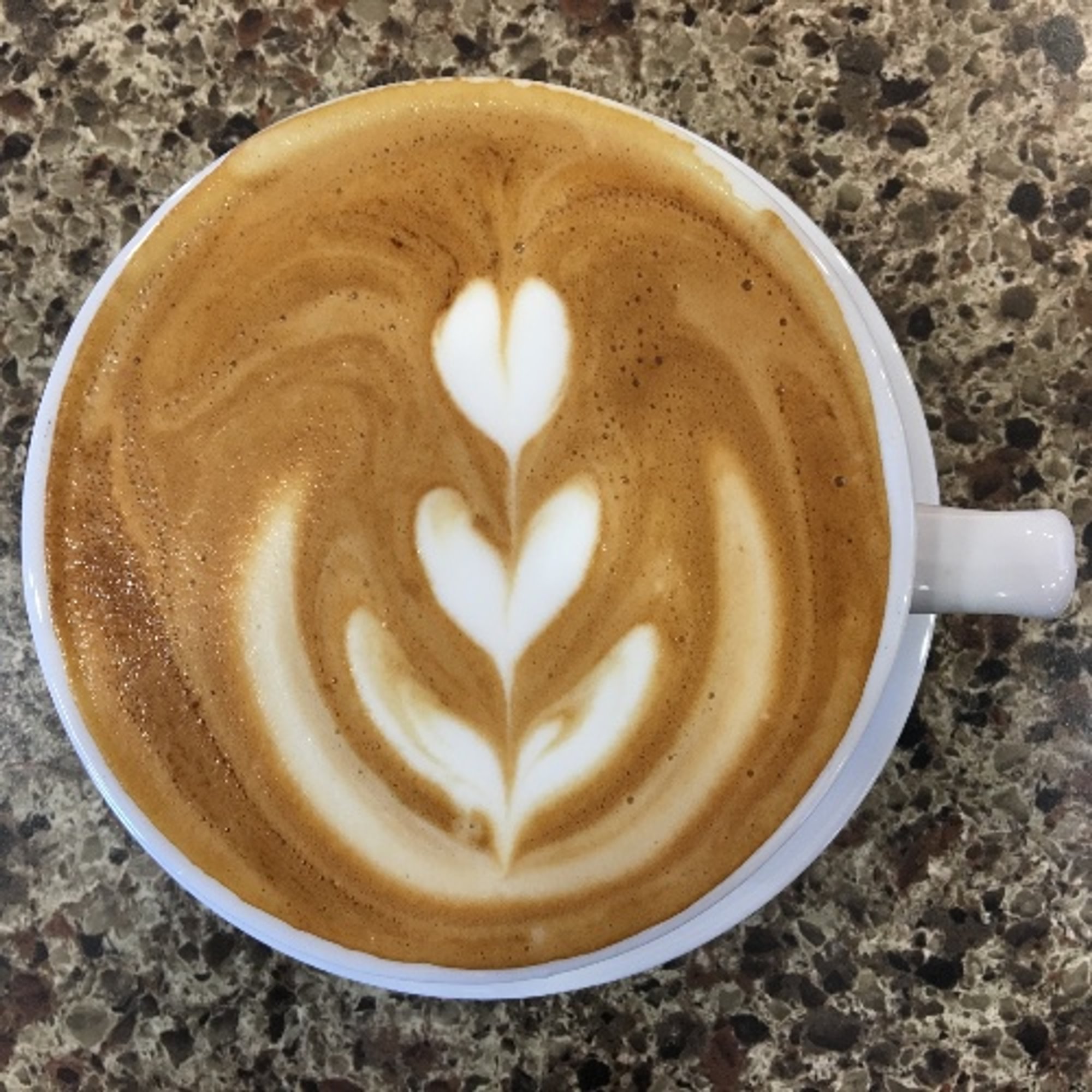 Cinnamon Bun Latte