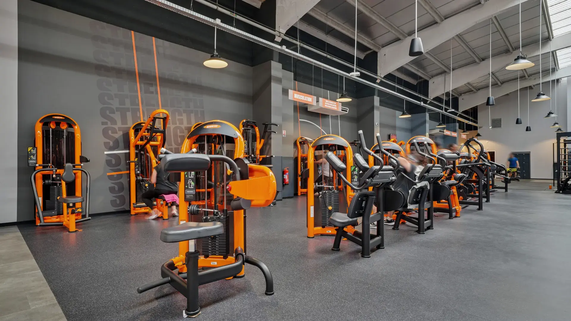 Miniature de la galerie