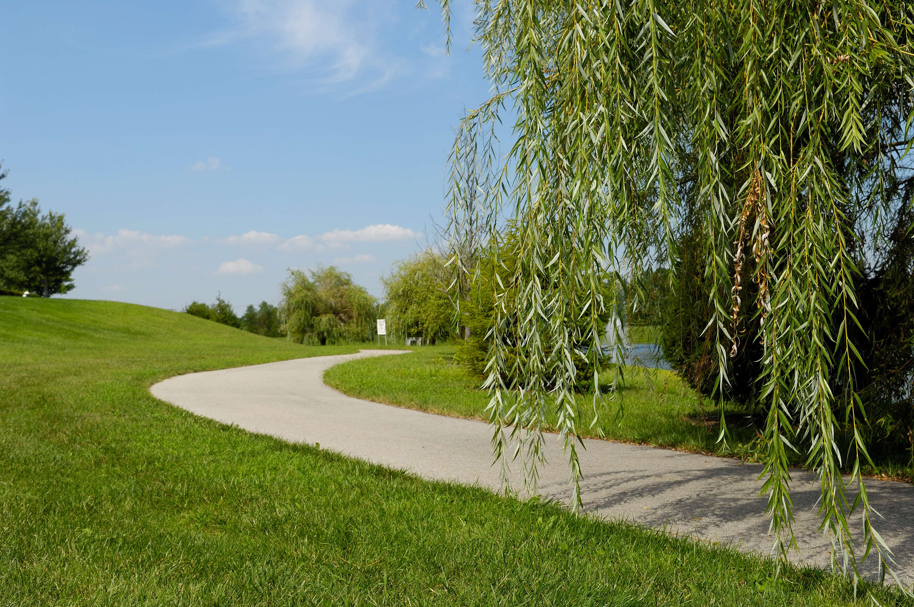 Recreational Facility