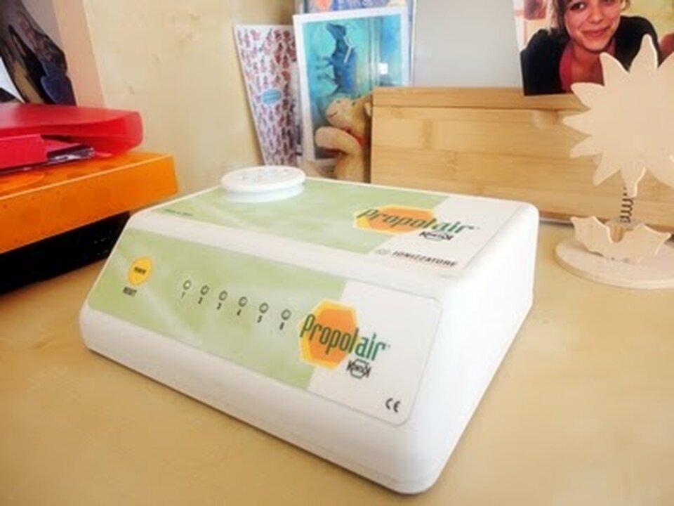 Miniature de la galerie