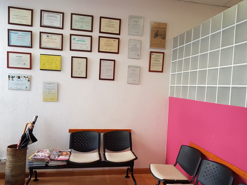 Galería en miniatura