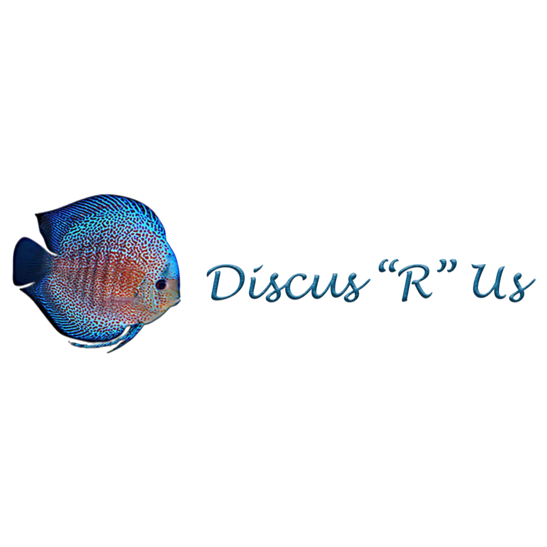 Discus R Us Logo