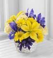 The FTD® Spirit of Spring™ Basket