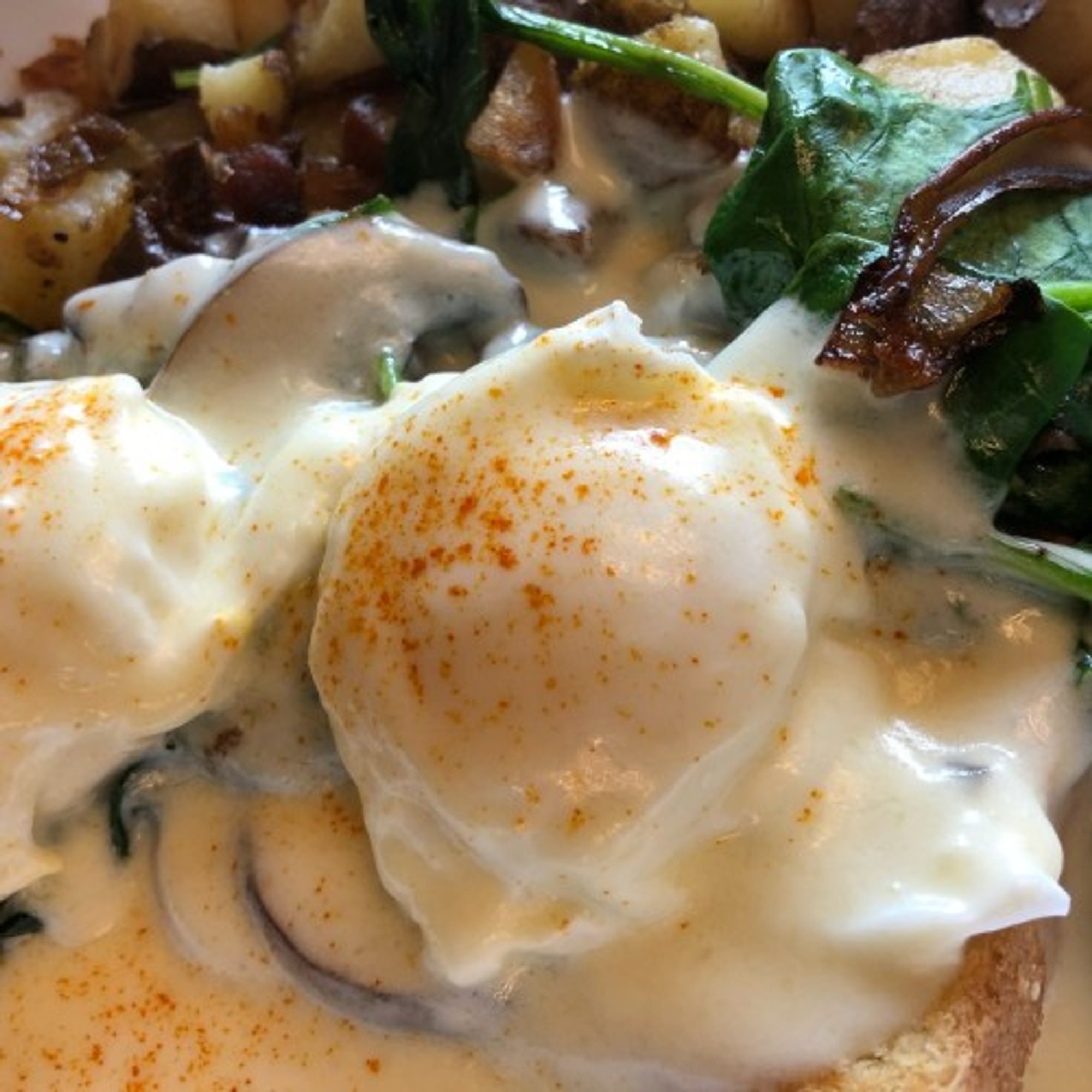 Veggie Bennie