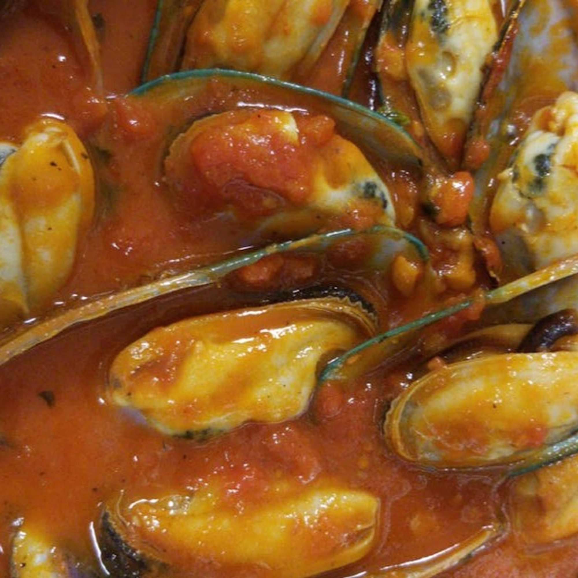 Mussels