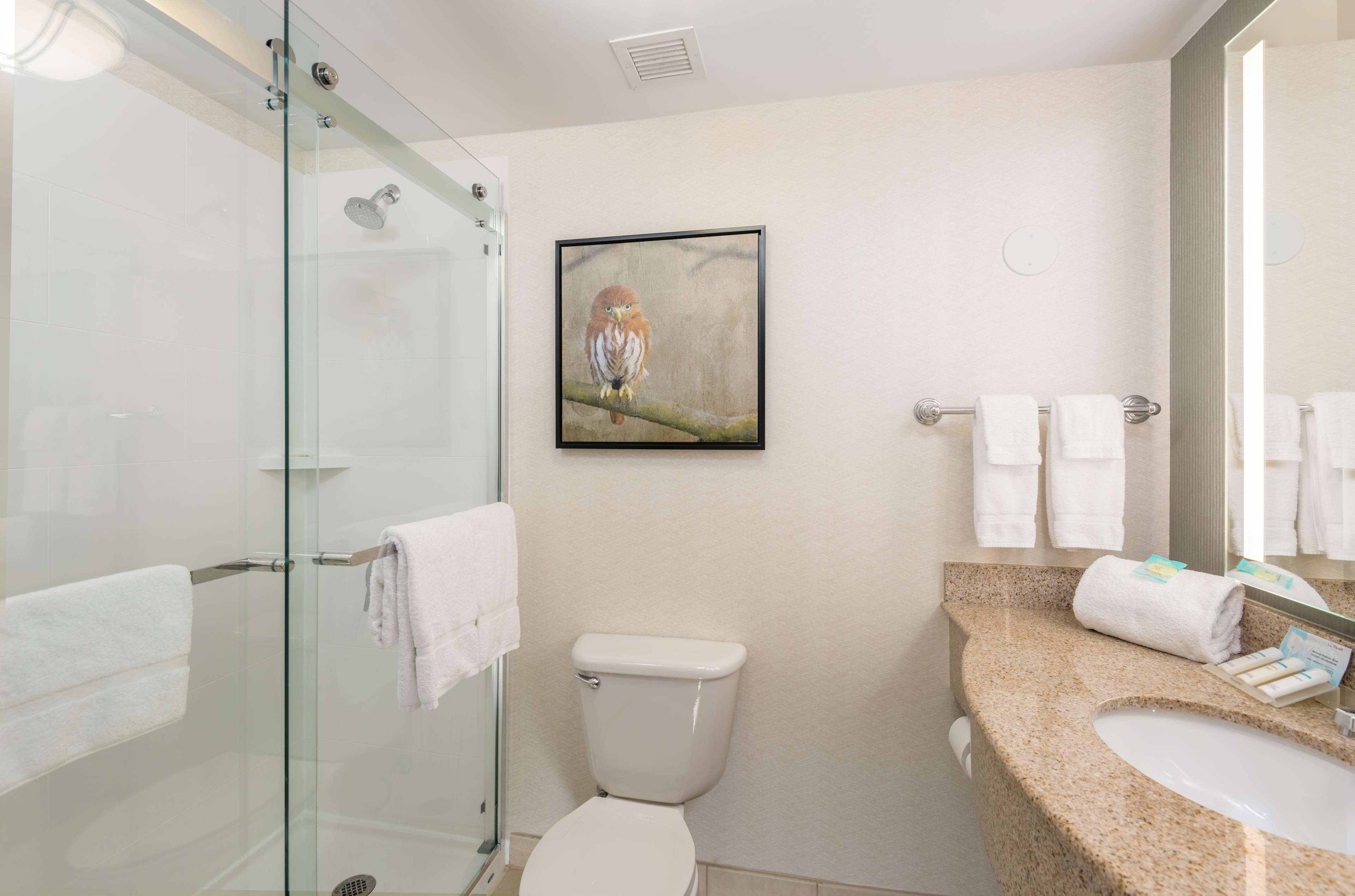 Guest room bath