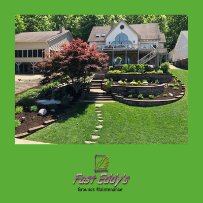 SHRUB & ORNAMENTAL TREE TRIMMING