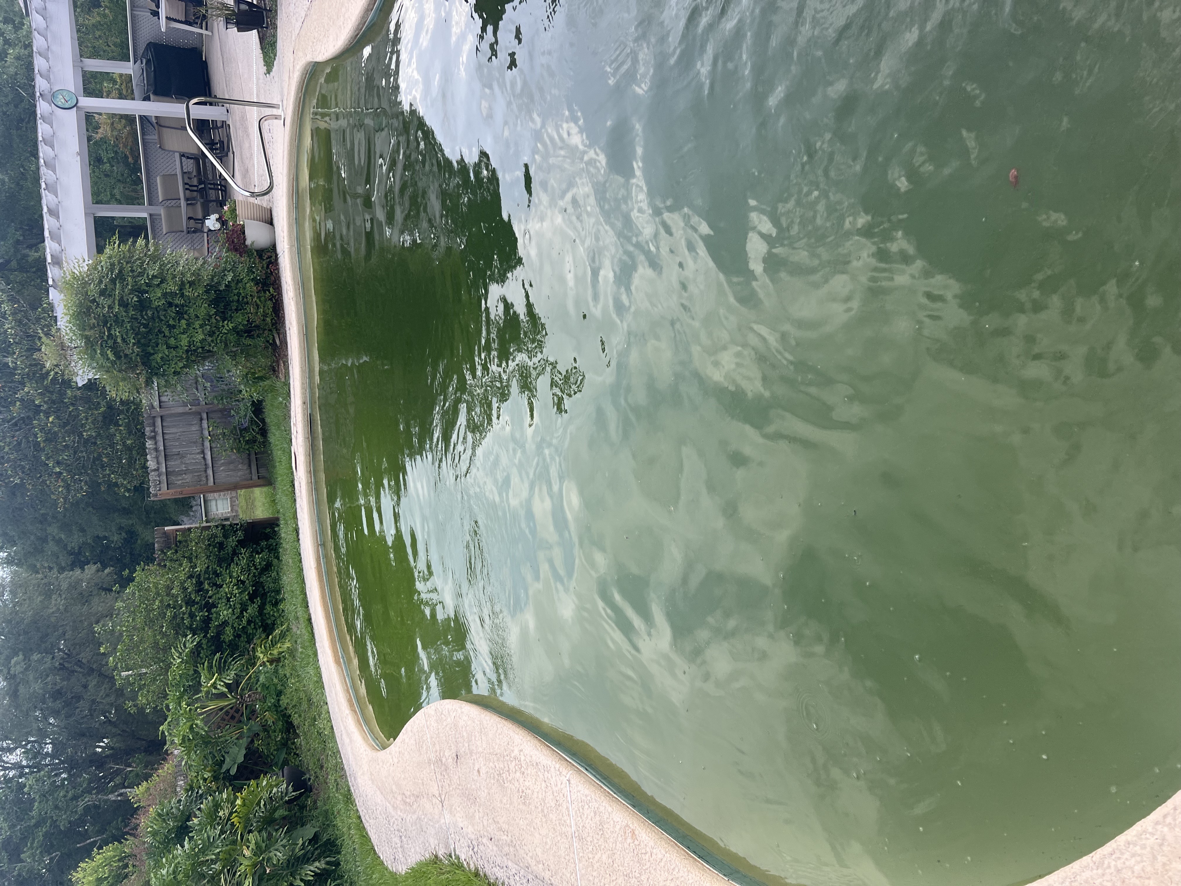 Pelican Pool and Patio LLC Image