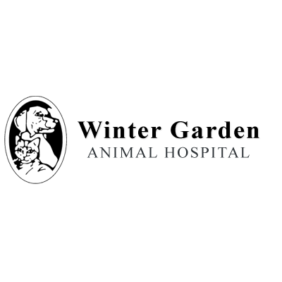 Winter Garden Animal Hospital Photo