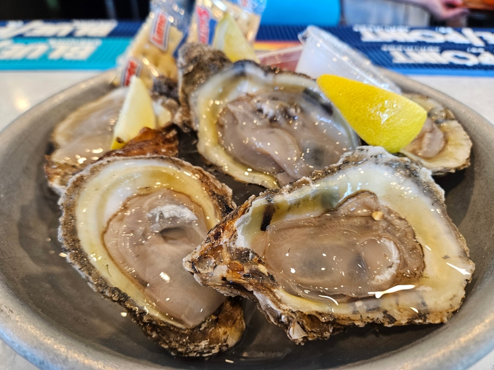 6 Raw Oysters