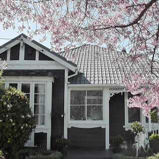 Images New Start Paint Restoration & Repair