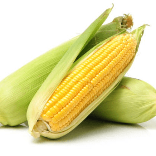 Sweet Roasted Corn On The Cob