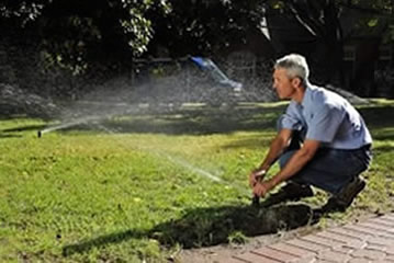 Andy's Sprinkler, Drainage & Lighting Photo