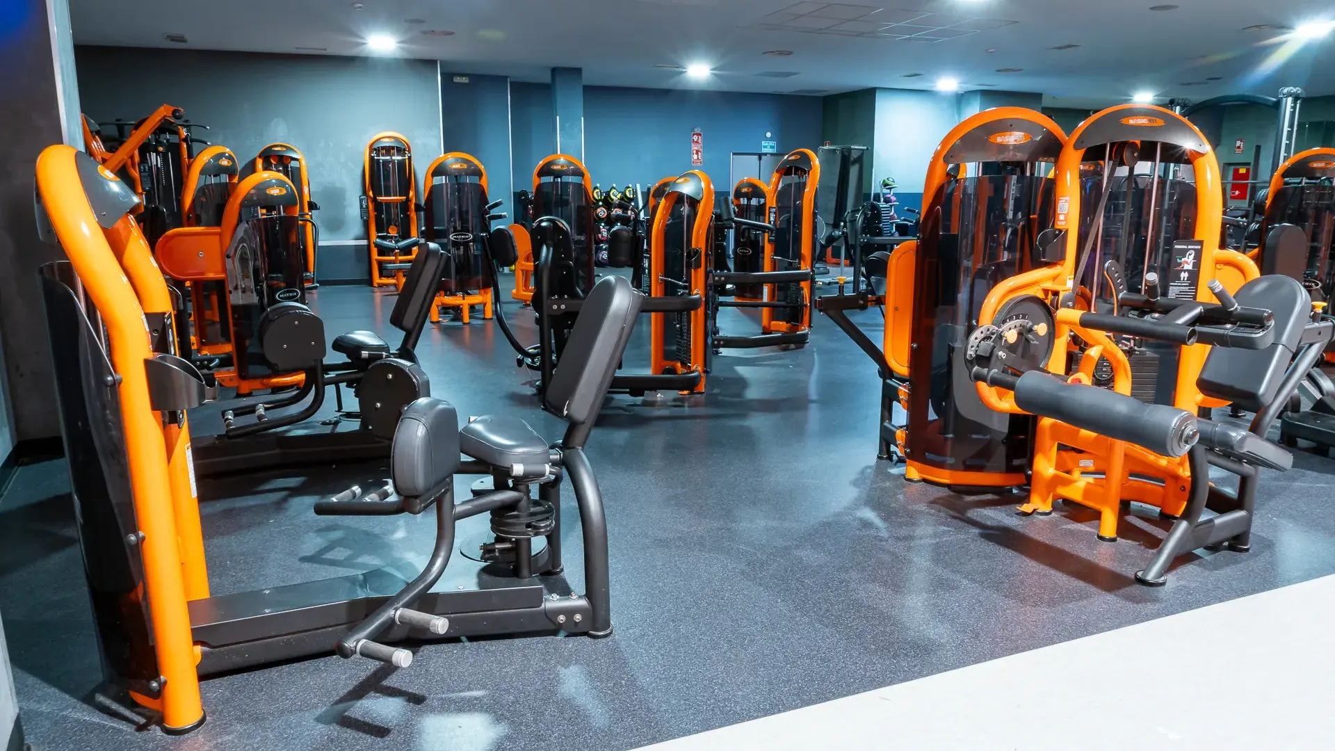 Galería de imágenes