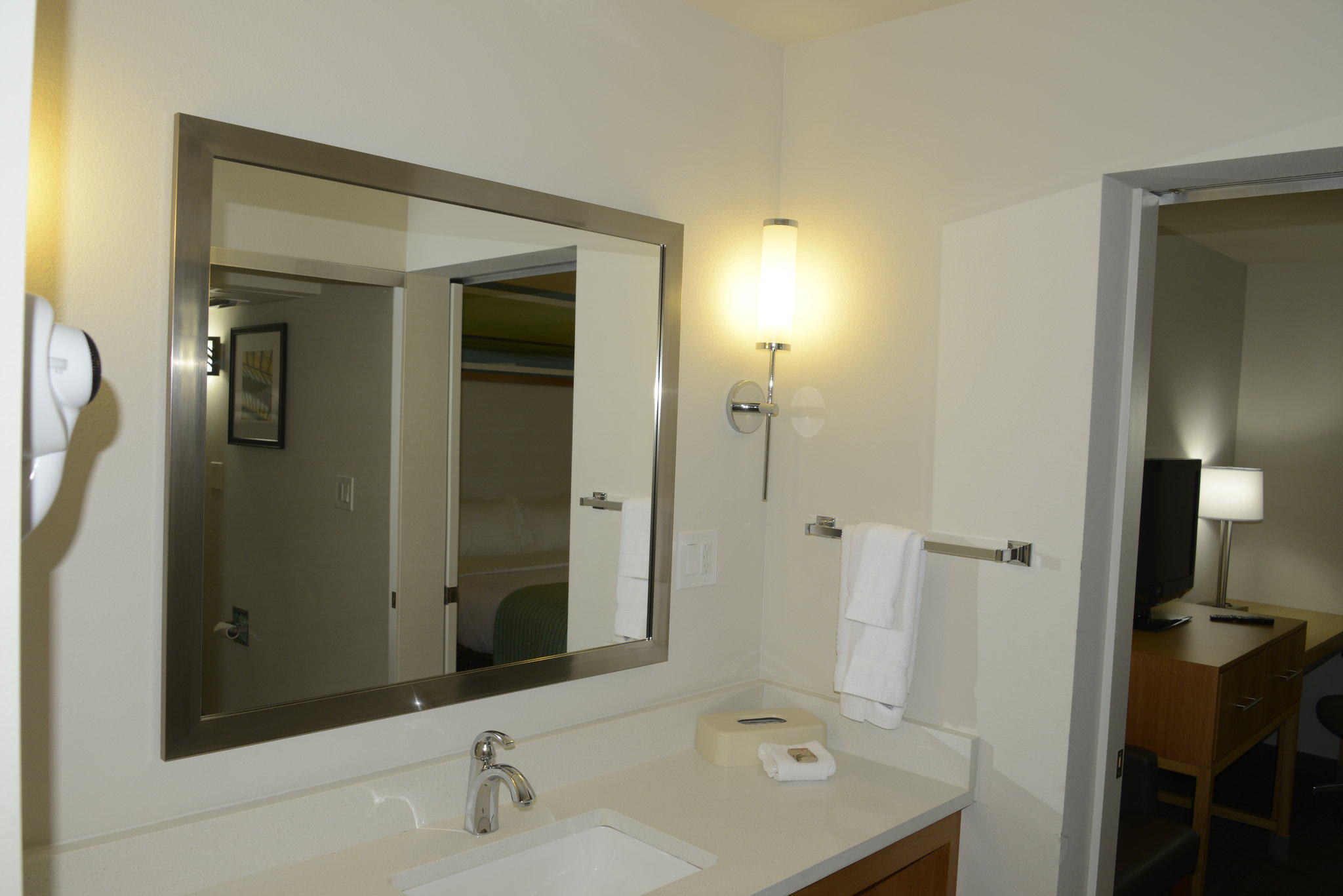 Holiday Inn & Suites Tampa N - Busch Gardens Area Photo