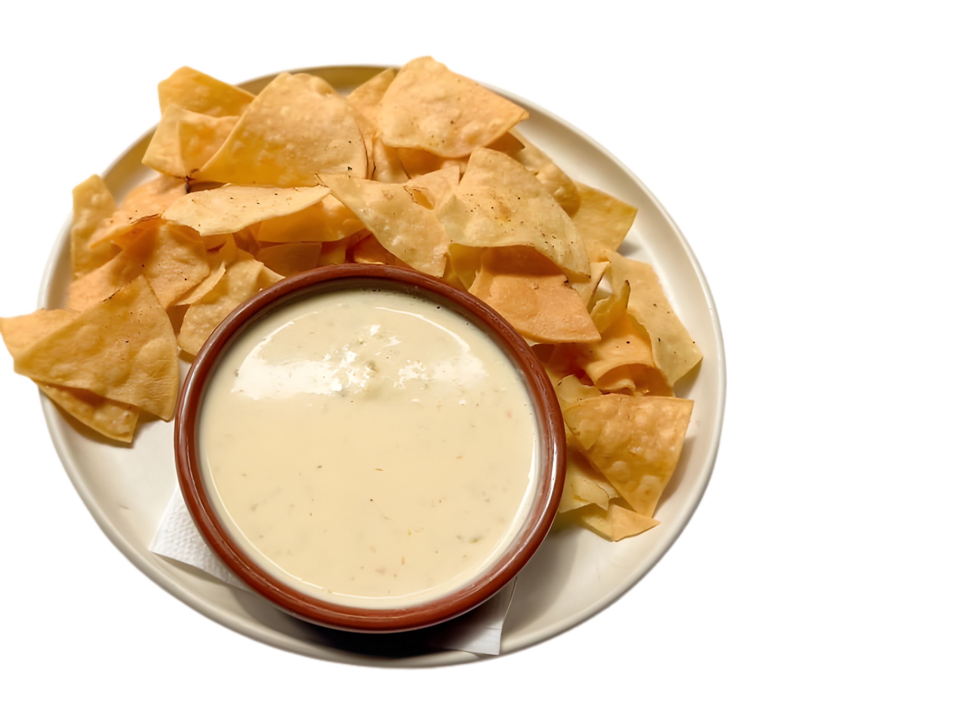 CHEESE DIP PLAIN