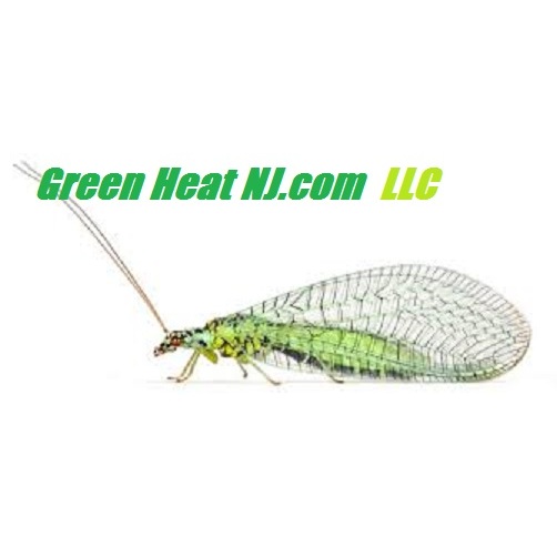 Green Heat NJ Llc